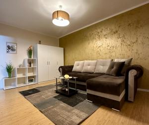 SHoliday Studio Apartament modern cu parcare gratuită în Timișoara