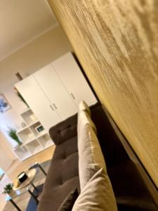 SHoliday Studio Apartament modern cu parcare gratuită în Timișoara