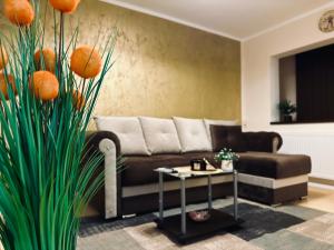 S&S Apartment Studio New ! Timisoara New !