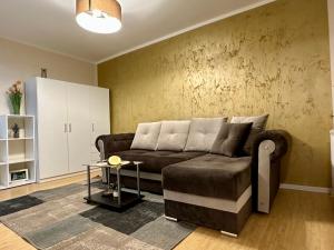 SHoliday Studio Apartament modern cu parcare gratuită în Timișoara