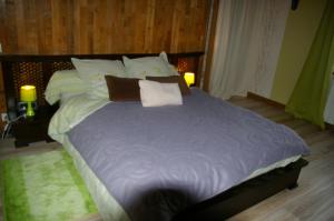 Maisons d'hotes Gite au Chalet : photos des chambres