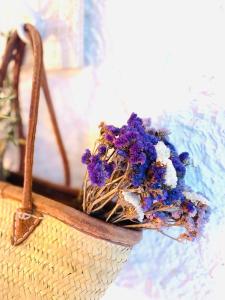 Maisons de vacances Cottage de Charme - Casa Calina & son Jardin Secret : photos des chambres