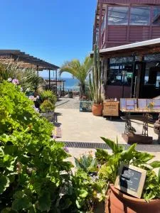 Enelmar apartamentos con encanto - Divisadero