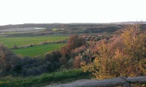 Masseria Strada Agriturismo