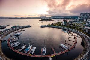Ocean Marina Suite View