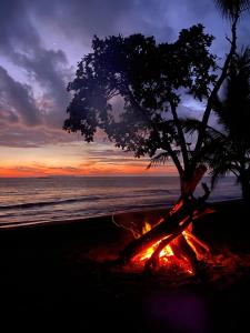 Kinkajoungalows - Amaya Family, Drake Bay, Osa Peninsula