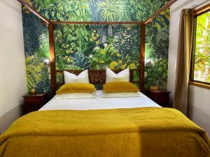 Crater Lakes Rainforest Cottages