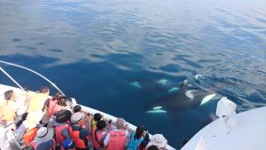 小さな森の貸し切り宿Forest-House-Ranapirica