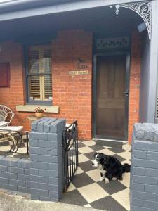 Violet Cottage in the City