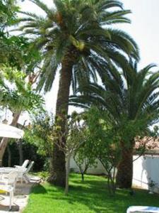 Hotels Hotel Pierre Loti : photos des chambres