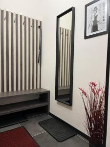 byt v blízkosti centra a v klidné zóně