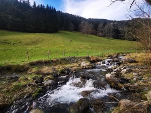 Villas Maison Aulon (Saint Lary) : photos des chambres