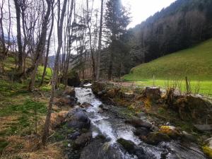 Villas Maison Aulon (Saint Lary) : photos des chambres