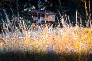 Chalets Dihan Evasion : photos des chambres