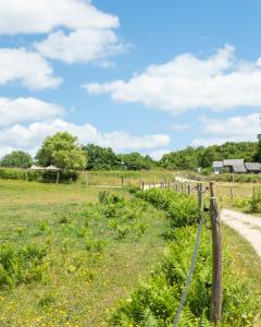 Chalets Dihan Evasion : photos des chambres