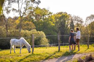 Chalets Dihan Evasion : photos des chambres
