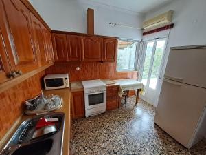 GEORGES VILLA