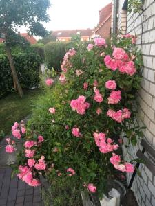 Moderne Ferienwohnung in Strandnähe