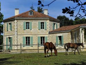 Maisons d'hotes Chateau de l'Isle - Chambres d'Hotes : photos des chambres