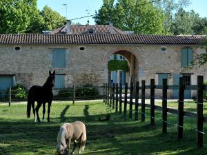 Maisons d'hotes Chateau de l'Isle - Chambres d'Hotes : photos des chambres