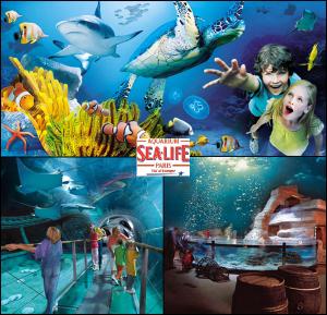 Maisons de vacances Residence du Lac-Disneyland Paris-TARIF FAMILIAL : photos des chambres