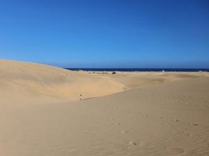 SeaBliss Beach of Dunes, Terrace and Pool!