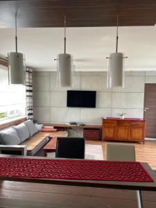 Uroczy apartament z ogrodem
