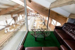 Auszeit am Ziegenhof nur für Erwachsene