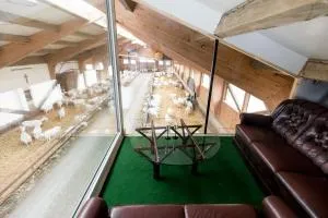 Auszeit am Ziegenhof nur für Erwachsene - Wartberg an der Krems