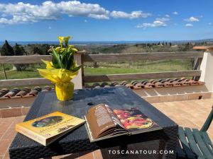 Podere Morena with sea view, private terrace by ToscanaTour Greg