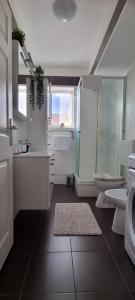 Apartman Odin 