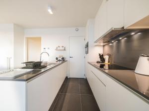 Spacious apartment with sunny terrace