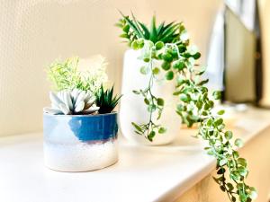 Brest Centre - Appartements - Le Vauban - Lumineux - Centre Ville - Proche Boutiques et Restaurants : photos des chambres