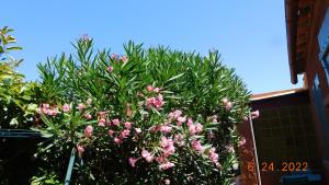 Appartements la garrigue : photos des chambres
