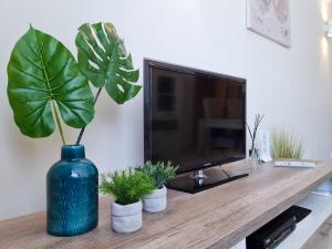 SÍTIO DO RAPOSO - Carvoeiro - WiFi, AC, Beach & Center 200m