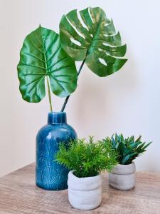 SÍTIO DO RAPOSO - Carvoeiro - WiFi, AC, Beach & Center 200m