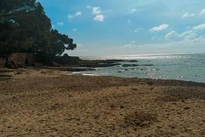 Superbe villa accès direct plage