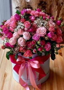 Elize Wind Residences