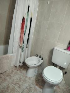 Temporarios Roque Saenz Peña, Dto D