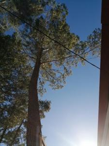 SOUS LE SOLEIL DE PROVENCE