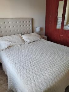 Temporarios Roque Saenz Peña, Dto C