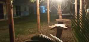 OCEANSURF hosteria