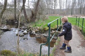 Chalets Canal du Nivernais Gites Le champ radis : photos des chambres