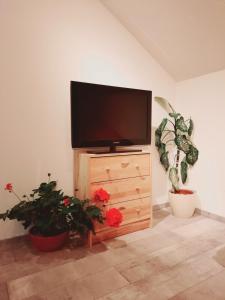 Gemütliches Apartment am Gottesberg