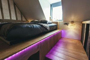 Appartements Le Duplex de l'Etoile home cinema jacuzzi et sauna privatif : photos des chambres