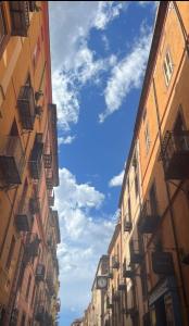 Le Camelie appartamento img15