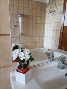 Villa Teresa sul mare img57