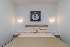 Apartment in Mastrinka with sea view, terrace, air conditioning, WiFi 5159-3