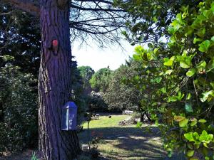 Maisons de vacances Gite en pleine nature - Parc, Piscine, Jacuzzi : photos des chambres
