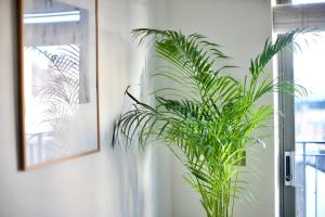 Zen life with Urban Views - E8 Chic